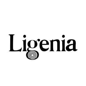إضافة نص تكميلي قصير